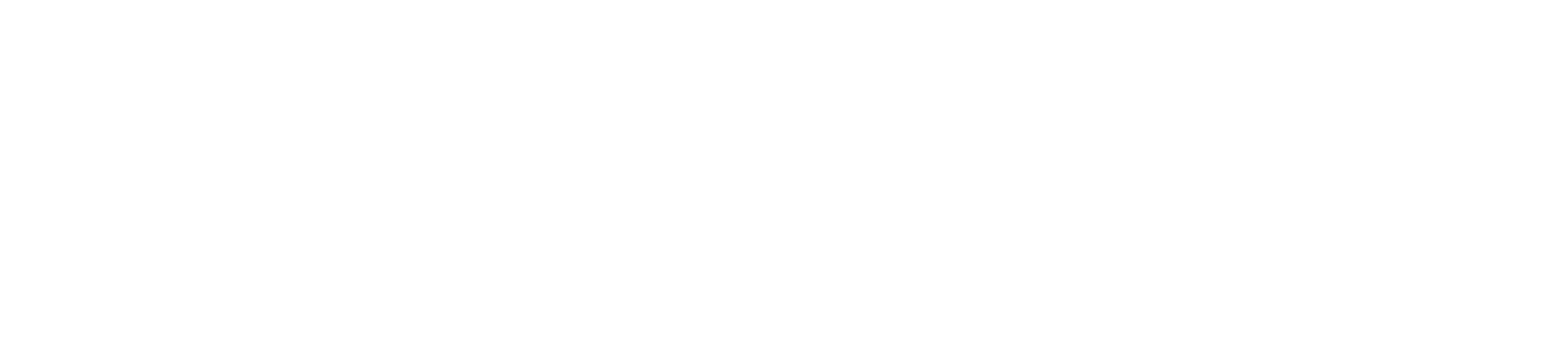 Altifiber Logo